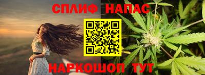 СК Славгород