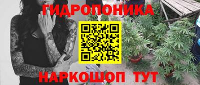 СК Славгород