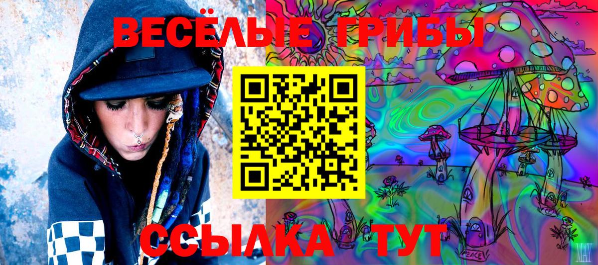 Острогожск  Галлюциногенные грибы Psilocybe  где можно купить наркотик  Галлюциногенные грибы GOLDEN TEACHER  Вход с VPN 