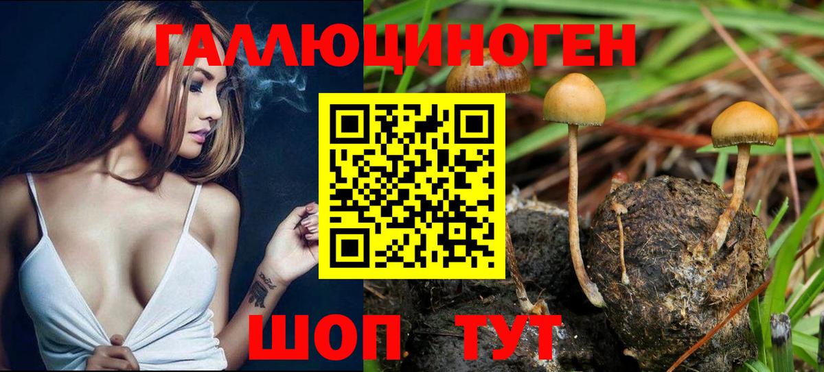 Псилоцибиновые грибы мухоморы Острогожск